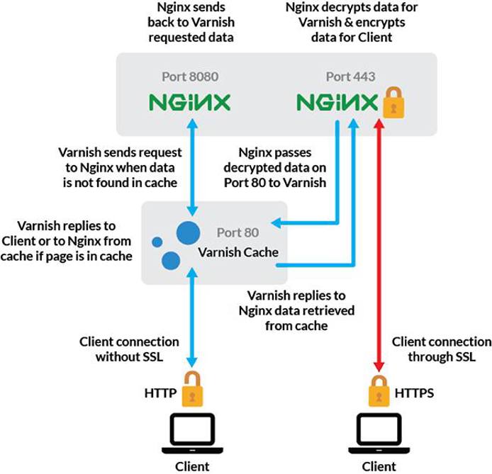 Nginx-Varnish-Nginx server configuration diagram Nginx-Varnish-Nginx server configuration diagram